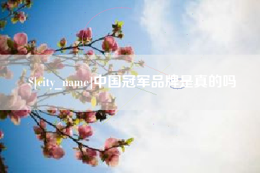 梨树县中国冠军品牌是真的吗