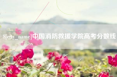 梨树县中国消防救援学院高考分数线