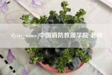 梨树县中国消防救援学院 老师