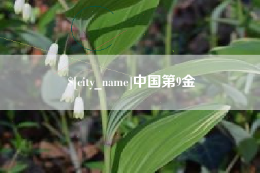梨树县中国第9金