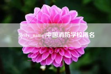 梨树县中国消防学校排名