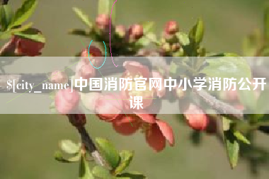 梨树县中国消防官网中小学消防公开课