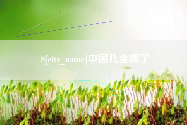 梨树县中国几金牌了