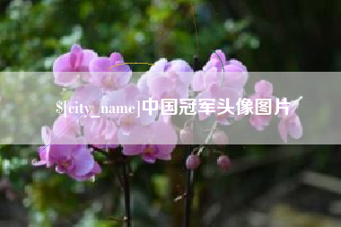 梨树县中国冠军头像图片