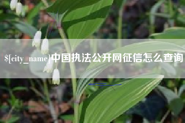 梨树县中国执法公开网征信怎么查询