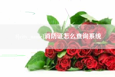 梨树县消防证怎么查询系统