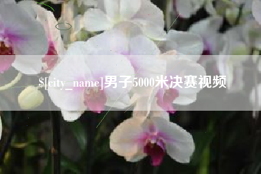 梨树县男子5000米决赛视频