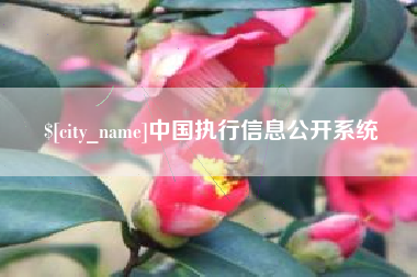 梨树县中国执行信息公开系统