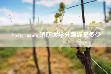 梨树县消防大学分数线是多少