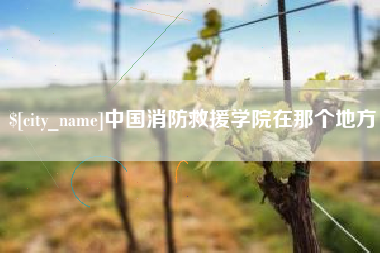 梨树县中国消防救援学院在那个地方