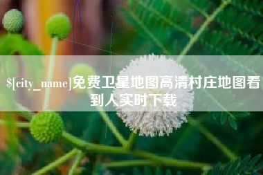 梨树县免费卫星地图高清村庄地图看到人实时下载