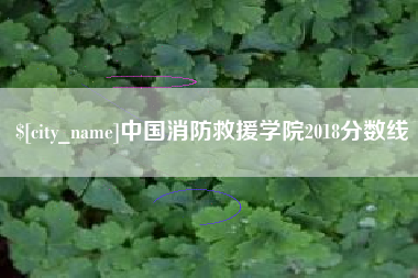梨树县中国消防救援学院2018分数线
