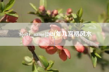 梨树县2021年九宫格风水