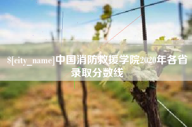 梨树县中国消防救援学院2020年各省录取分数线