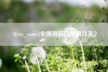 梨树县全国消防日是第几天？