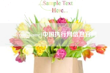 梨树县中国执行网信息官网