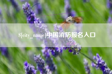 梨树县中国消防报名入口