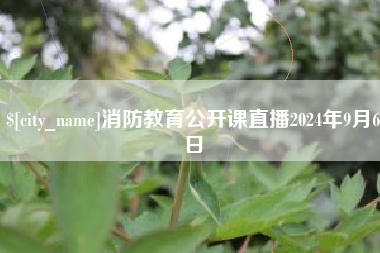 梨树县消防教育公开课直播2024年9月6日