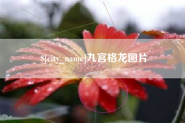 梨树县九宫格龙图片