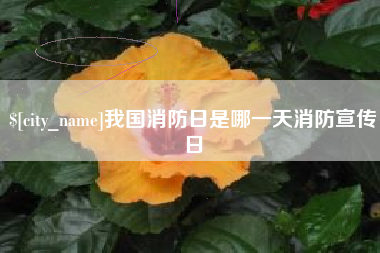 梨树县我国消防日是哪一天消防宣传日