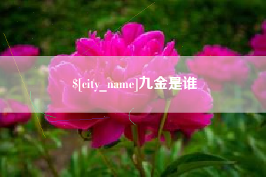 梨树县九金是谁