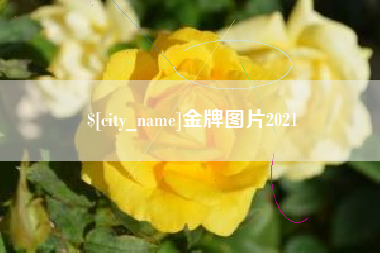 梨树县金牌图片2021