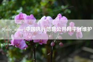 梨树县中国执行信息公开网平台维护