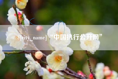 梨树县“中国执行公开网”