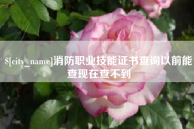 梨树县消防职业技能证书查询以前能查现在查不到
