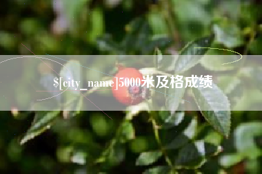 梨树县5000米及格成绩