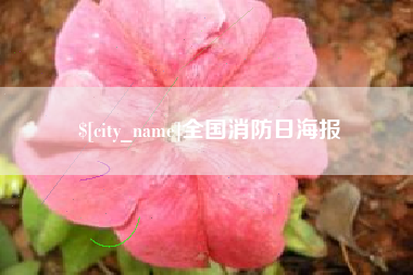 梨树县全国消防日海报