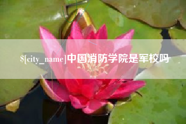 梨树县中国消防学院是军校吗