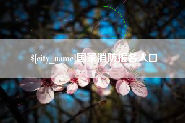 梨树县国家消防报名入口