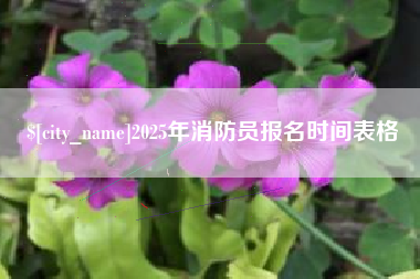梨树县2025年消防员报名时间表格