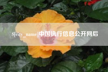 梨树县中国执行信息公开网后