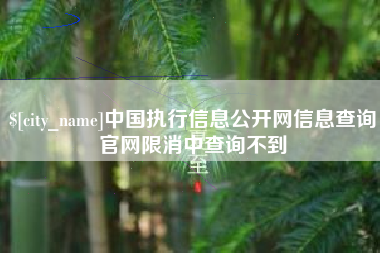 梨树县中国执行信息公开网信息查询官网限消中查询不到