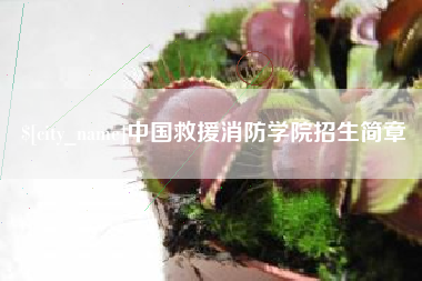 梨树县中国救援消防学院招生简章