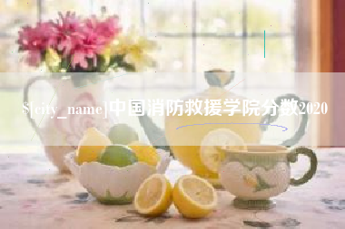 梨树县中国消防救援学院分数2020