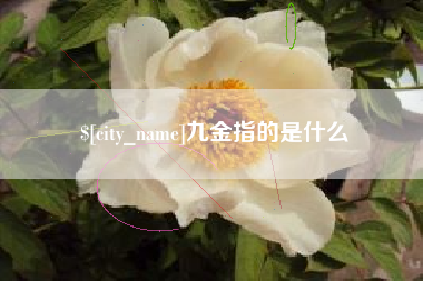 梨树县九金指的是什么