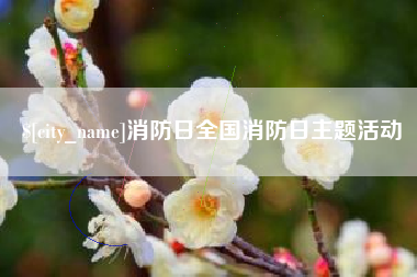 梨树县消防日全国消防日主题活动