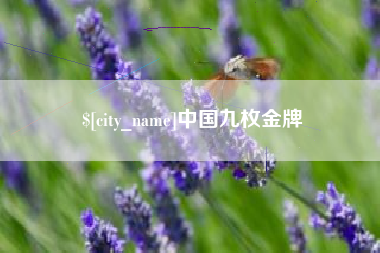 梨树县中国九枚金牌