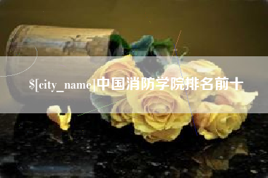 梨树县中国消防学院排名前十