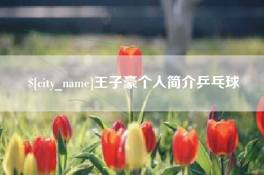 梨树县王子豪个人简介乒乓球
