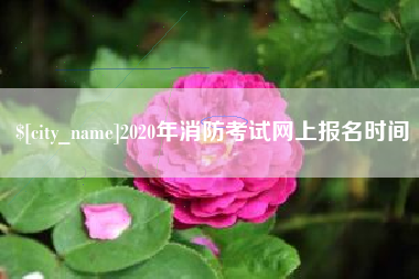 梨树县2020年消防考试网上报名时间