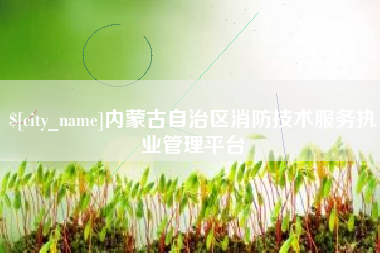 梨树县内蒙古自治区消防技术服务执业管理平台