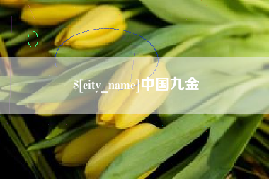 梨树县中国九金