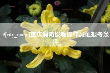 梨树县重庆消防设施操作员证报考条件