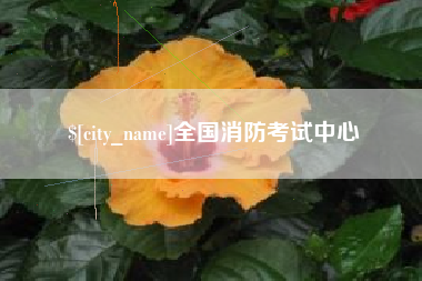 梨树县全国消防考试中心