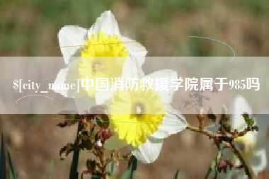 梨树县中国消防救援学院属于985吗
