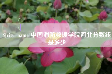 梨树县中国消防救援学院河北分数线是多少